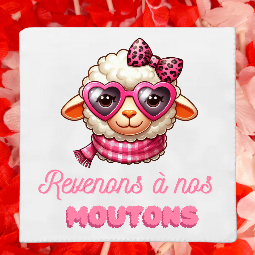 Lingettes lunette Humoristique