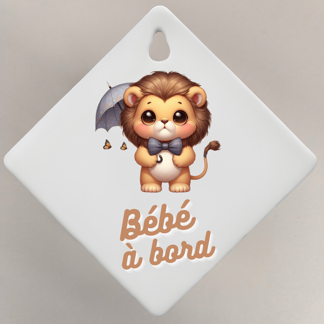 Bébé à bord 👶🏻🍼
