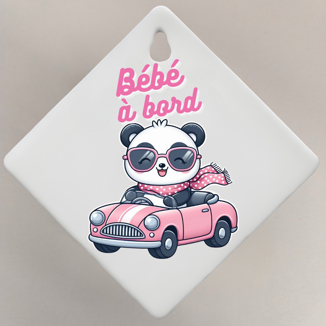 Bébé à bord 👶🏻🍼