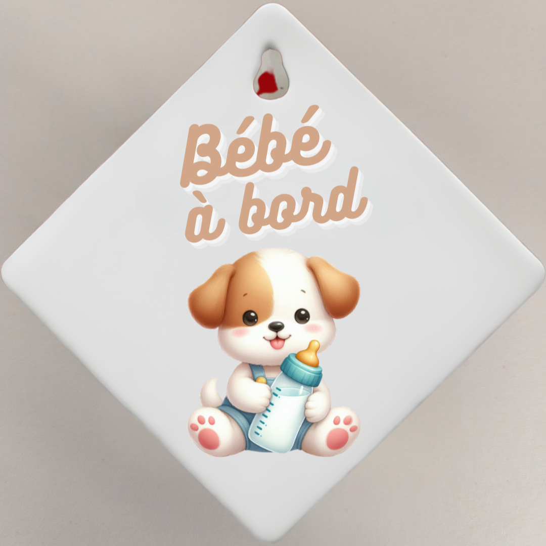 Bébé à bord 👶🏻🍼