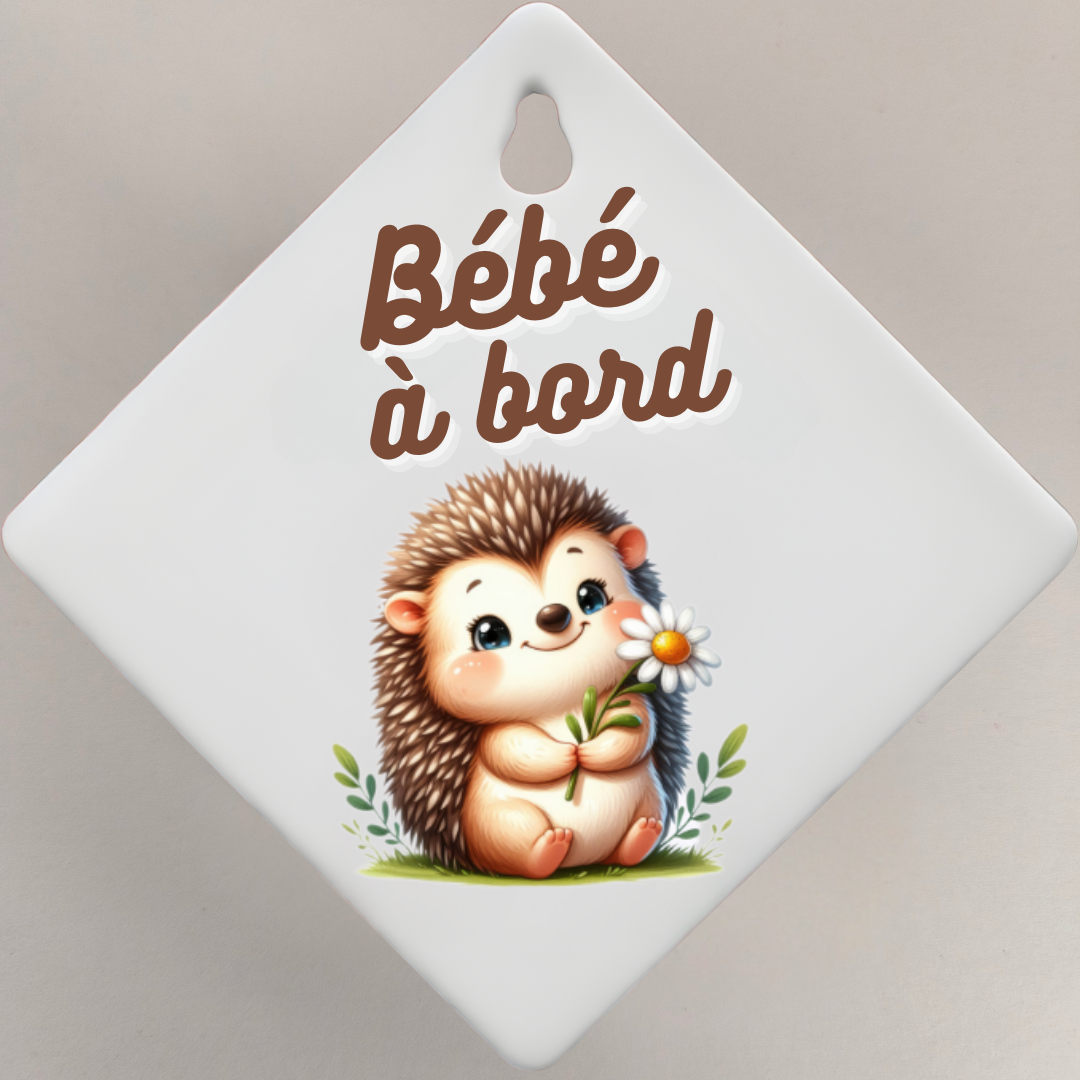 Bébé à bord 👶🏻🍼