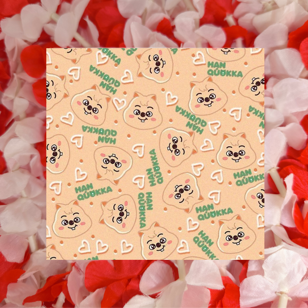 Lingettes lunettes " Enfants errants "