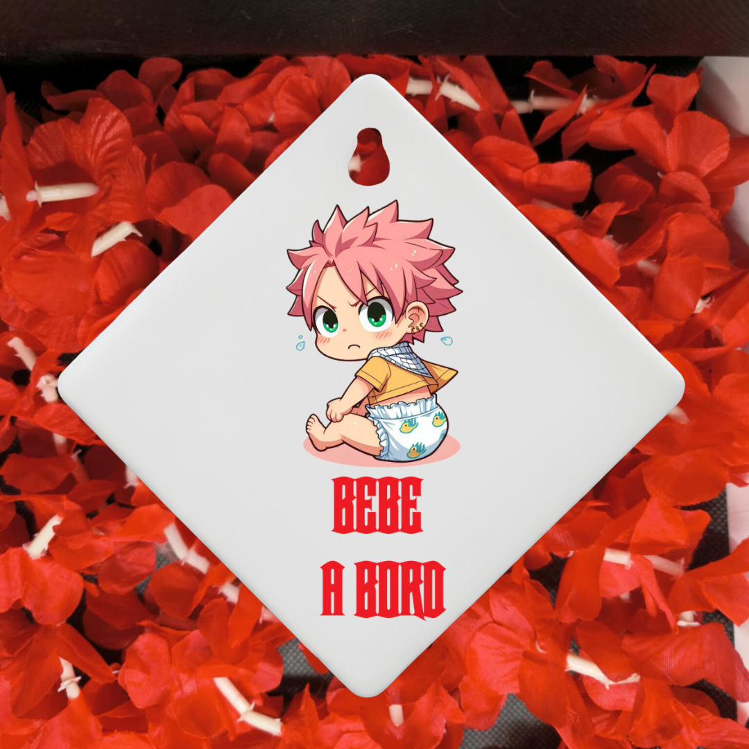 Bébé à bord " Guilde de fées " 🧚🏻♀️