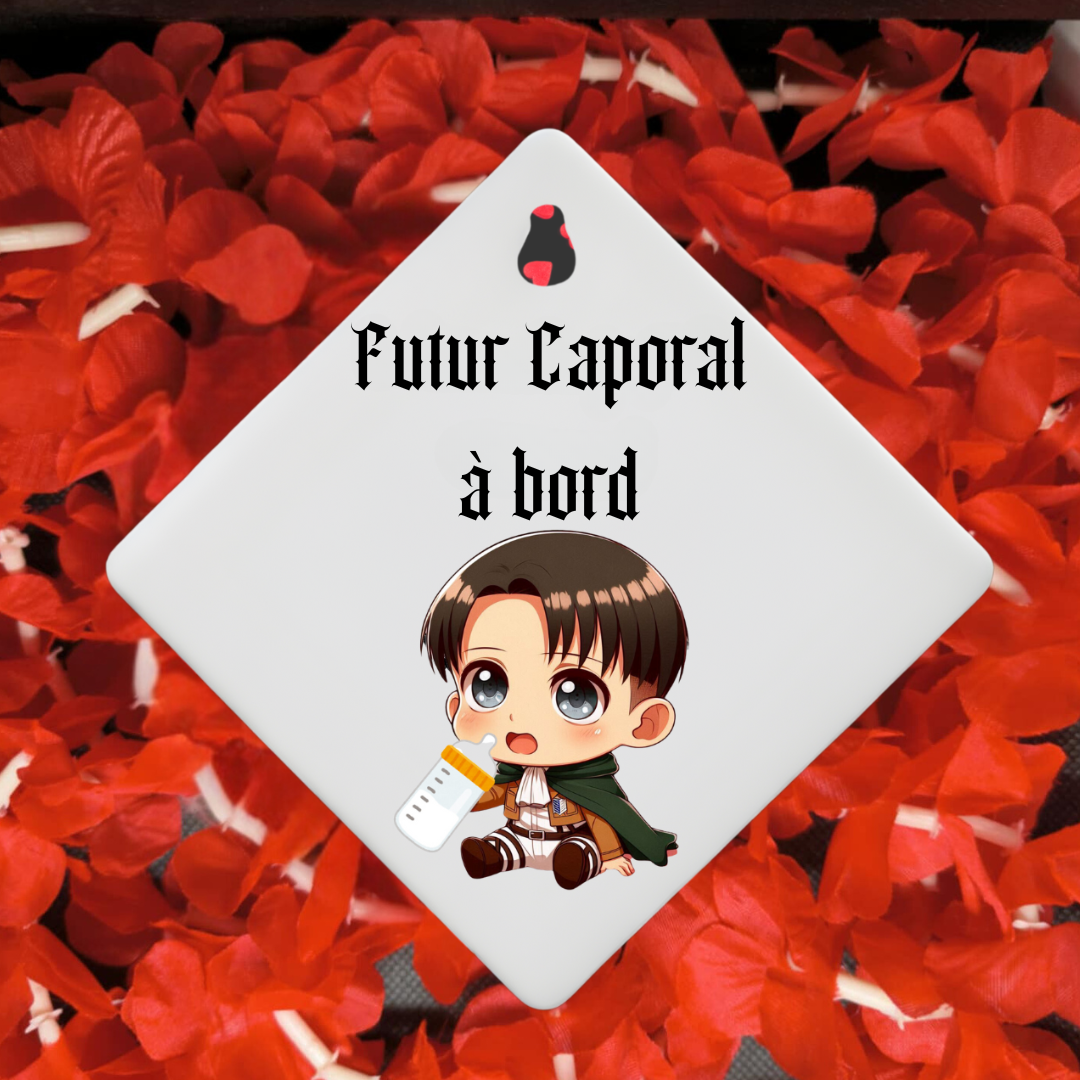 Bébé à bord " Bataillon d'exploration "🛡️🌹
