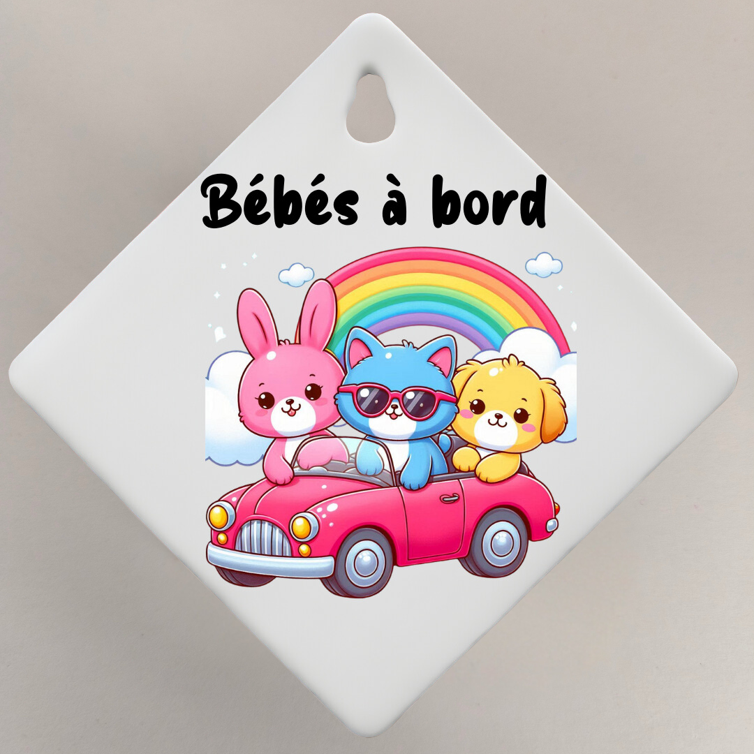 Bébé à bord 👶🏻🍼