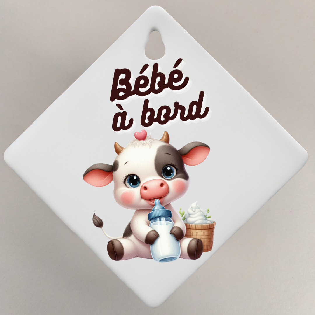 Bébé à bord 👶🏻🍼