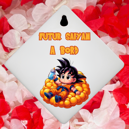 Bébé à bord " Boules de cristal "🐉