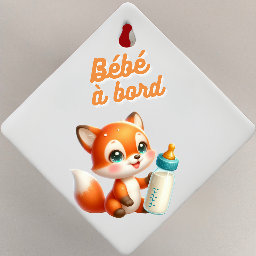 Bébé à bord 👶🏻🍼