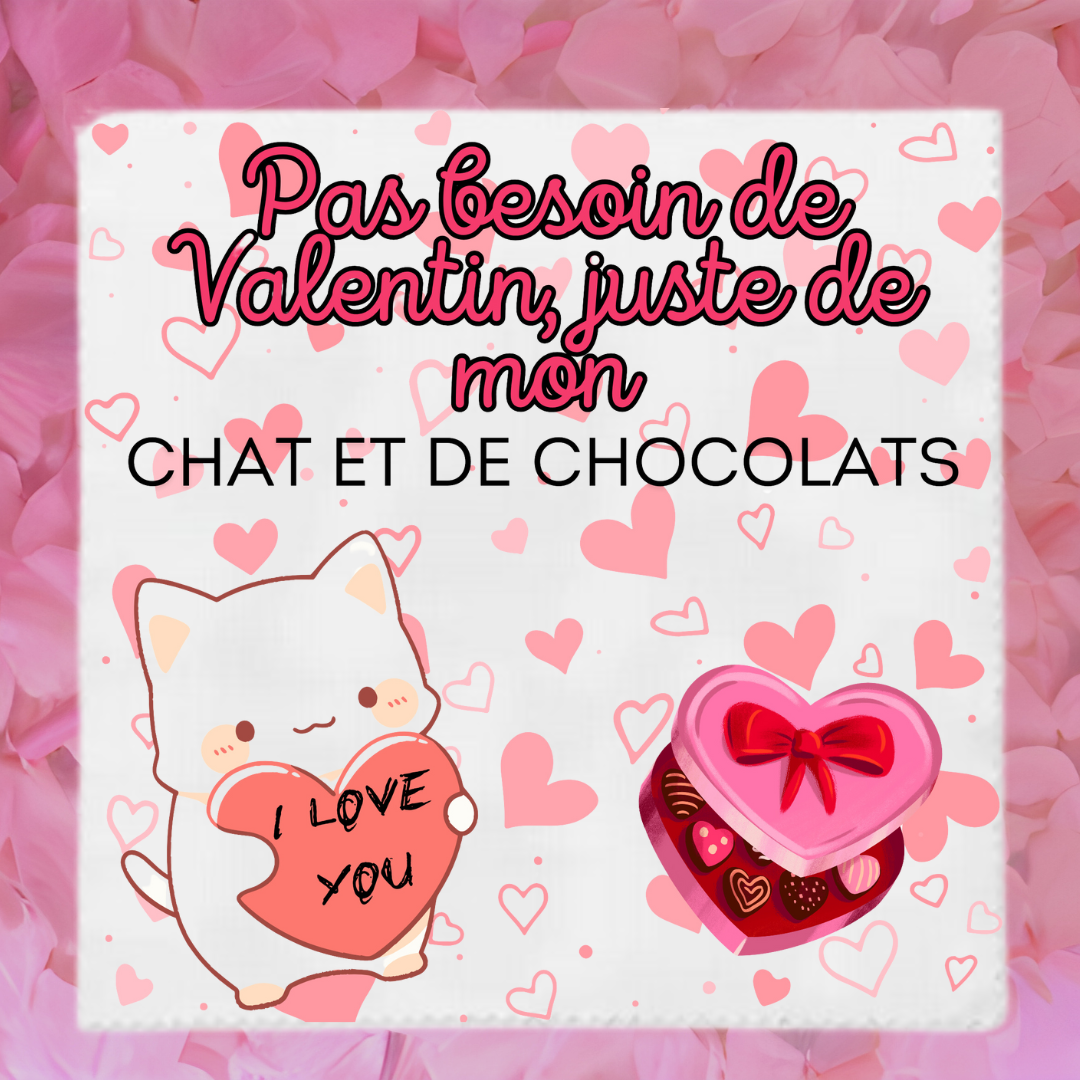 Lingettes lunettes 💖🍫