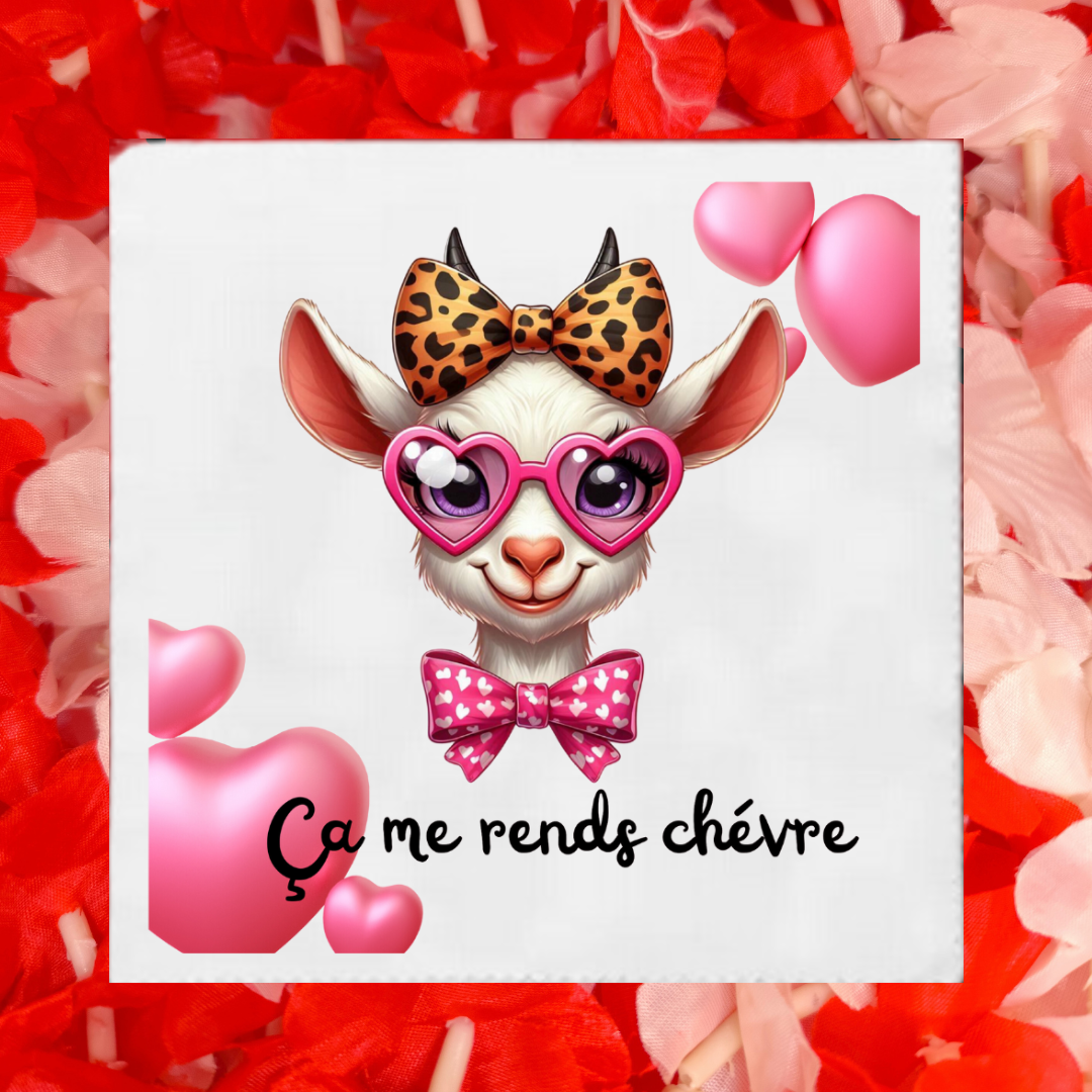 Lingettes lunette Humoristique